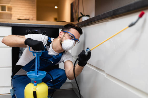 Best Emergency Pest Control  in Chubbuck, ID