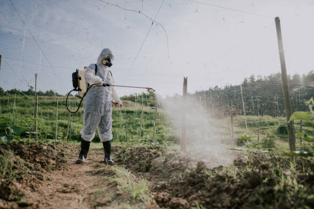 Best Ant Control Services  in Chubbuck, ID