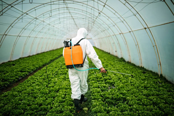 Best Best Pest Control Companies  in Chubbuck, ID