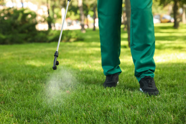 Wasp Removal Services in Chubbuck, ID
