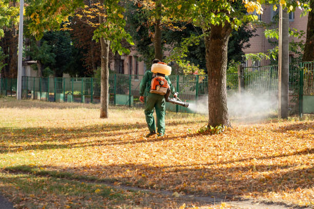 Best Exterminator Services  in Chubbuck, ID
