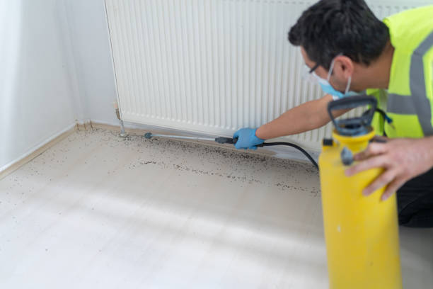 Best Pest Inspection Near Me  in Chubbuck, ID